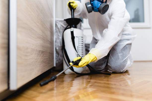 Best Cockroach Control Services  in Sandy Oaks, TX