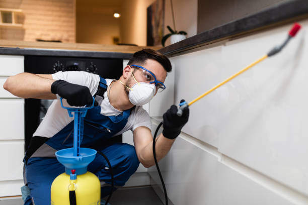 Professional Pest Control in Sandy Oaks, TX