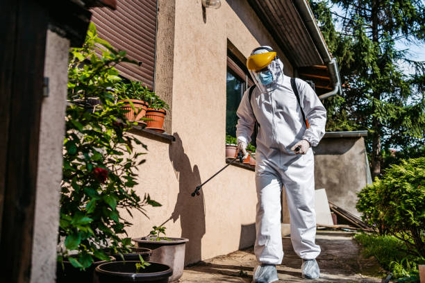Reliable Sandy Oaks, TX Pest Control Solutions