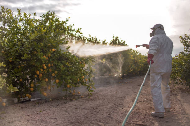 Best Best Pest Control Companies  in Sandy Oaks, TX