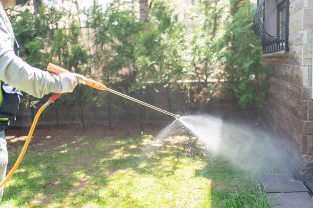 Best Pest Prevention Services  in Sandy Oaks, TX
