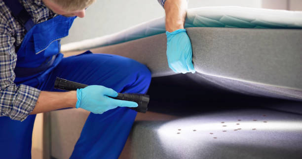 Best Affordable Pest Control Services  in Sandy Oaks, TX