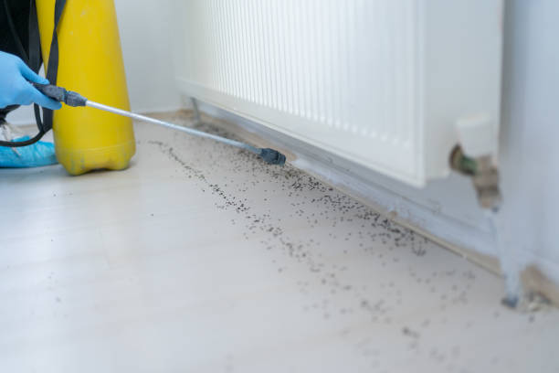 Best Wildlife Control Services  in Sandy Oaks, TX
