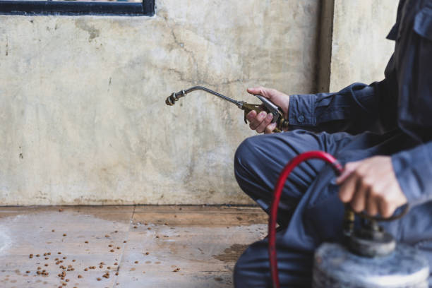 Best Exterminator Services  in Sandy Oaks, TX