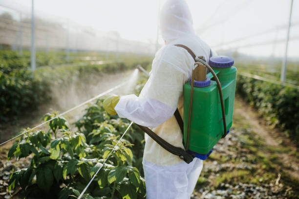 Best Pest Control Near Me  in Sandy Oaks, TX